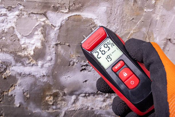 Certified Mold Removal in Texarkana, TX